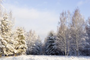 Setkání 2010